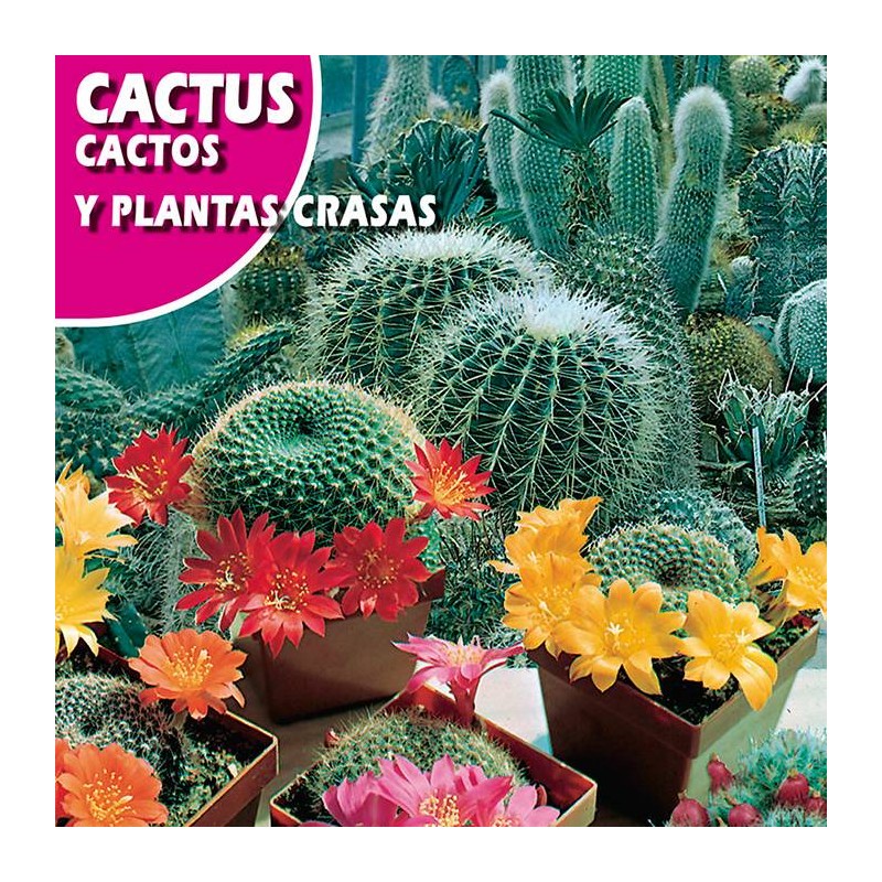 CACTUS Y PLANTRAS GRASAS