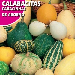 CALABACITAS DE ADORNO