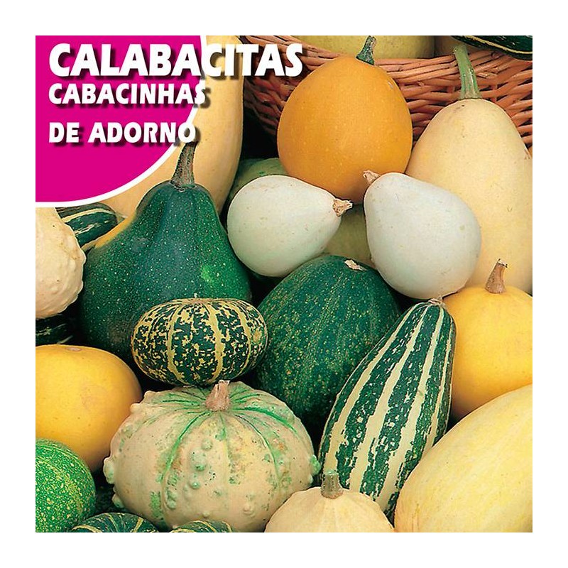CALABACITAS DE ADORNO