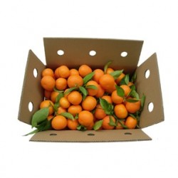 Mandarinas