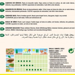 Albahaca de Génova