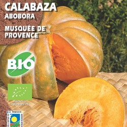 Calabaza Musquée de Provence