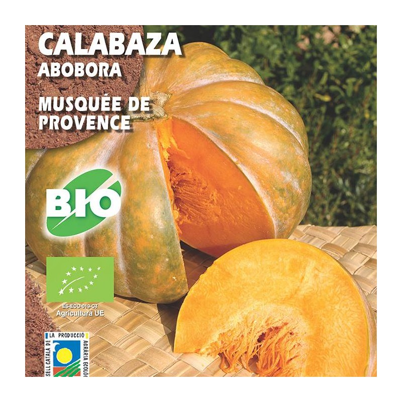 Calabaza Musquée de Provence