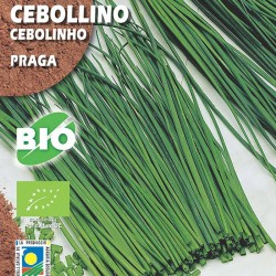 Semillas ecológicas...
