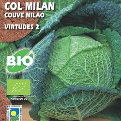 Col Milán Virtudes 2