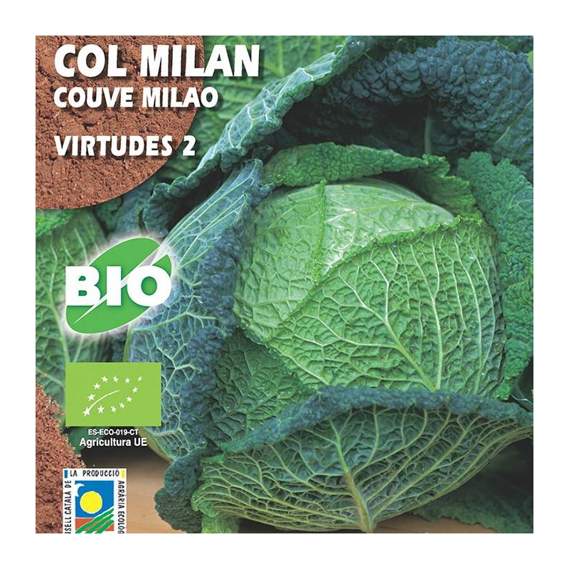 Col Milán Virtudes 2