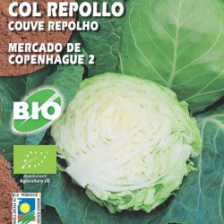Semillas ecológicas col repollo mercado de copenhague 
