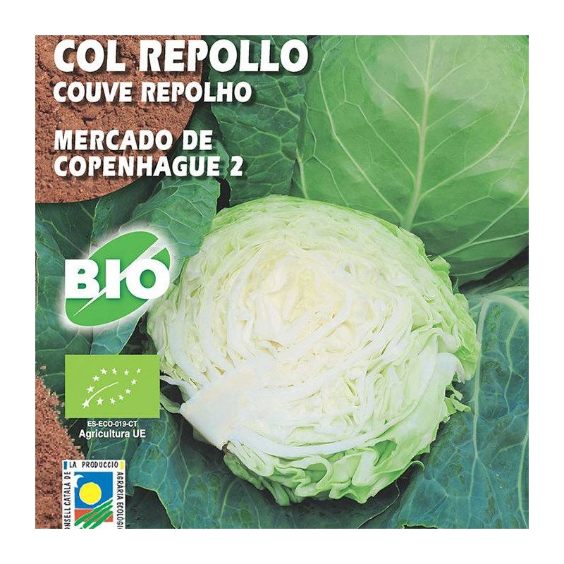 Semillas ecológicas col repollo mercado de copenhague 