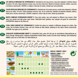 Semillas ecológicas col repollo mercado de copenhague 