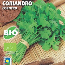 Semillas ecológicas coriandro
