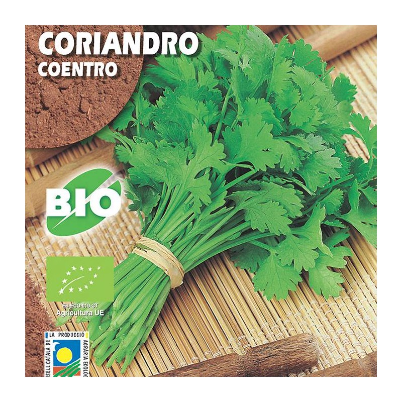 Semillas ecológicas coriandro
