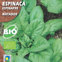 Semillas ecológicas...