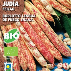 Judia Borlotto Lengua De Fuego Enna