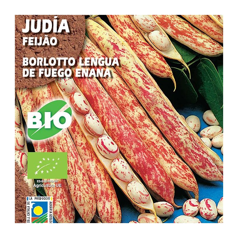 Judia Borlotto Lengua De Fuego Enna