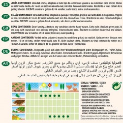 Semillas ecológicas judia contender