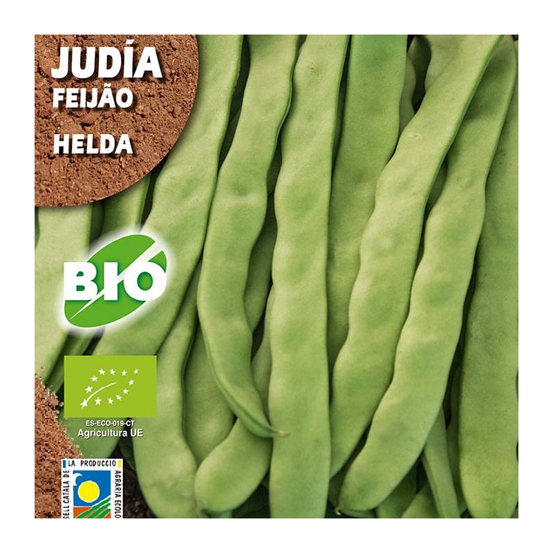 Semillas ecológicas judia helda