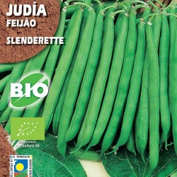 Judia Slenderette