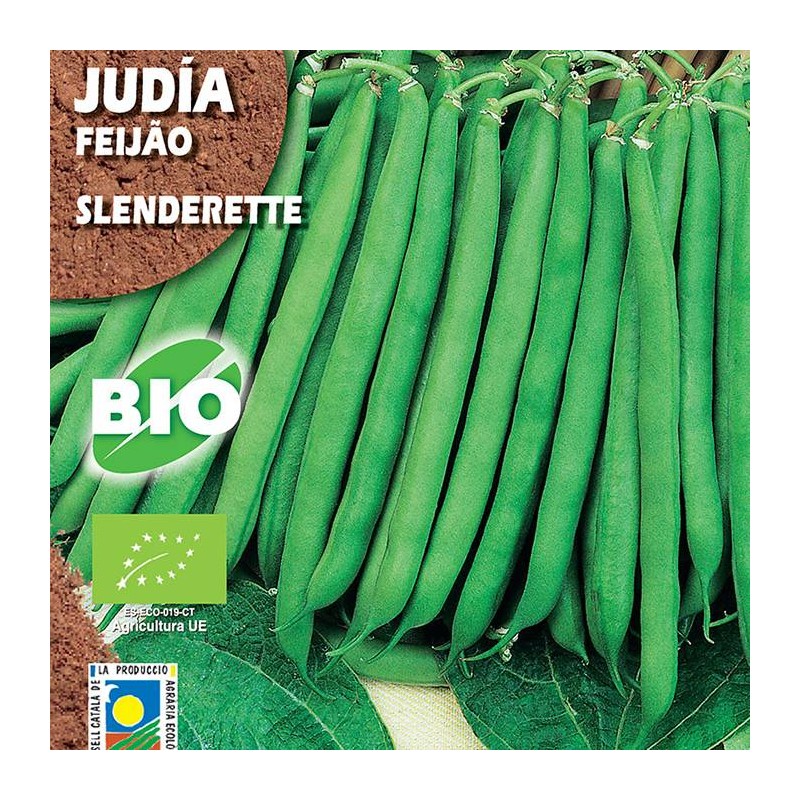 Judia Slenderette