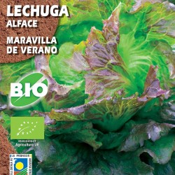 Semillas Ecológicos...