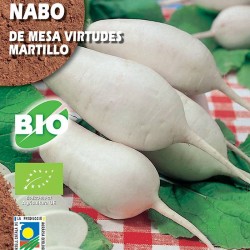 Nabo Virtudes Martillo