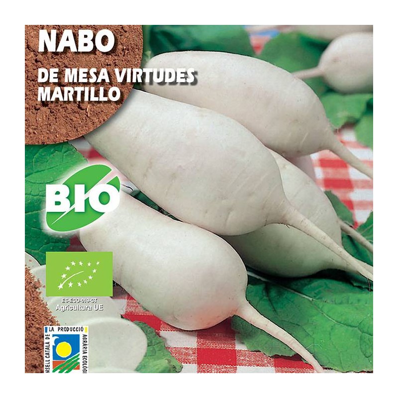 Nabo Virtudes Martillo