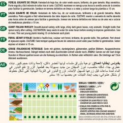 Perejil Gigante de Italia