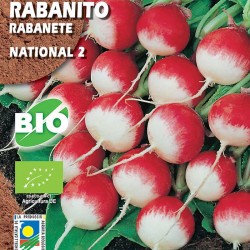 Semillas rabanito national...