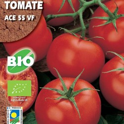 Semillas ecológicas tomate ace 55 vf