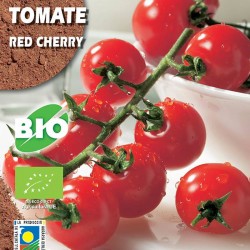 Tomate Red Cherry