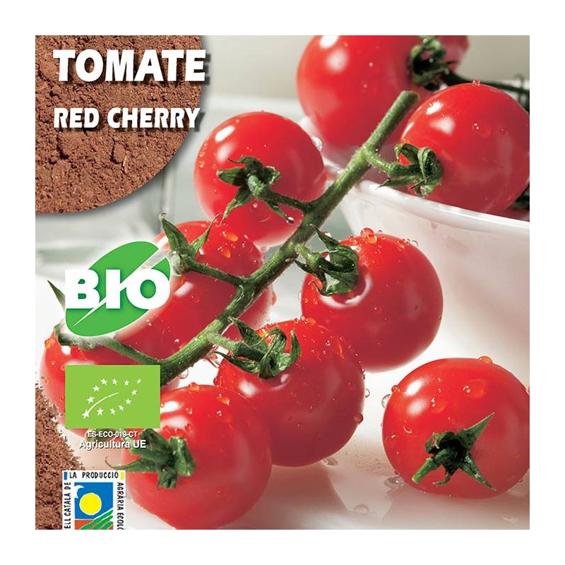 Tomate Red Cherry