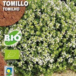 Semillas Ecológicos tomillo