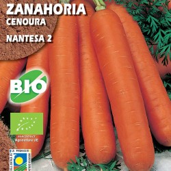 Zanahoria Mantesa 2
