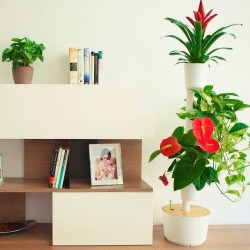 Jardin Vertical Citysens