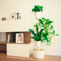 Jardin Vertical Citysens SMART