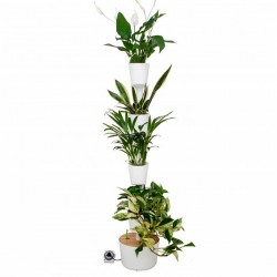 Jardin Vertical Citysens SMART