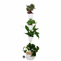Jardin Vertical Citysens SMART