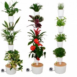 Jardin Vertical Citysens SMART