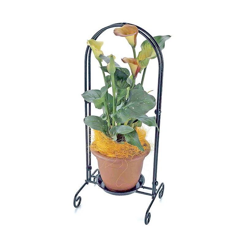 Soporte gemma arco con maceta