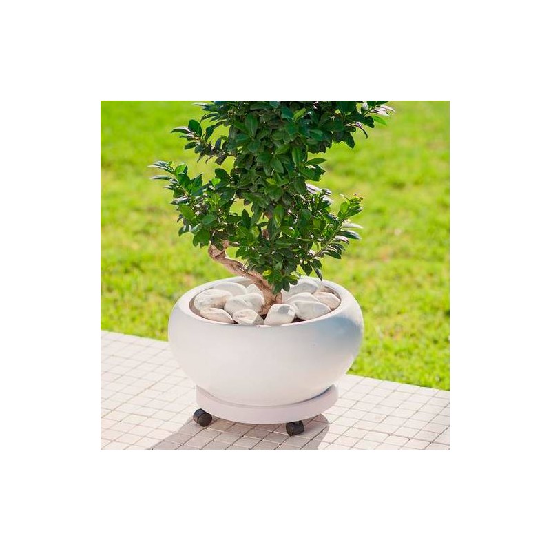 Soporte macetas ruedas xilitia