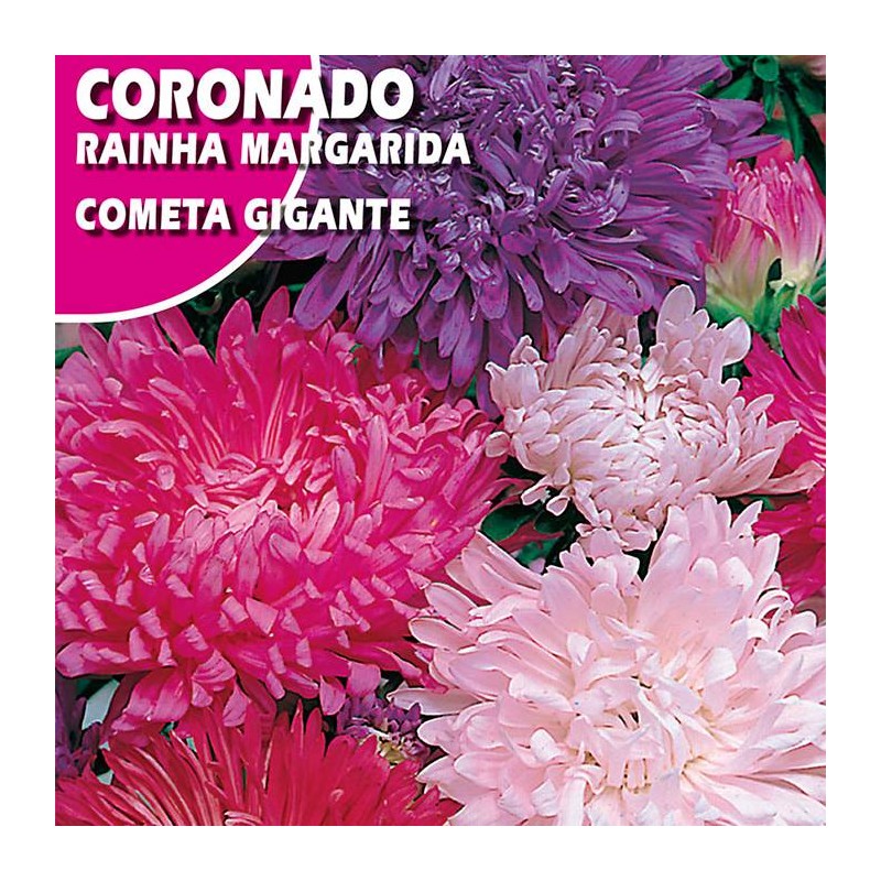 CORONADO COMETA GIGANTE VARIADA