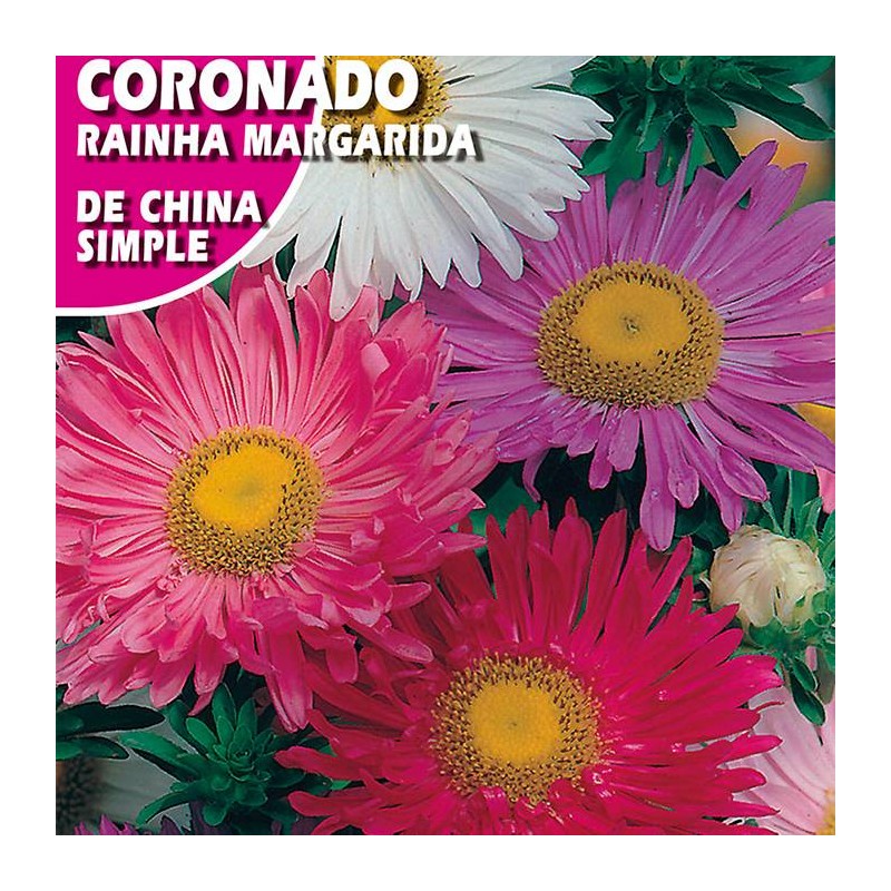 CORONADO DE CHINA SIMPLE VARIADO