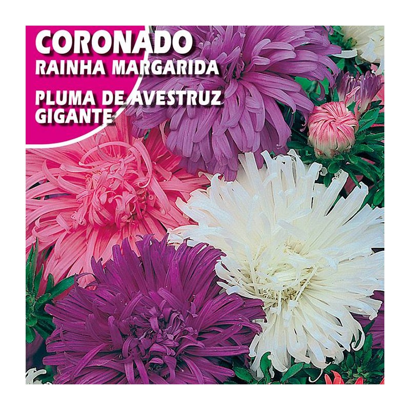 CORONADO PLUMA AVESTRUZ GIGANTE