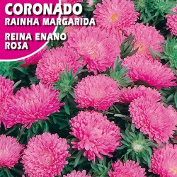 CORONADO REINA ENANO ROSA