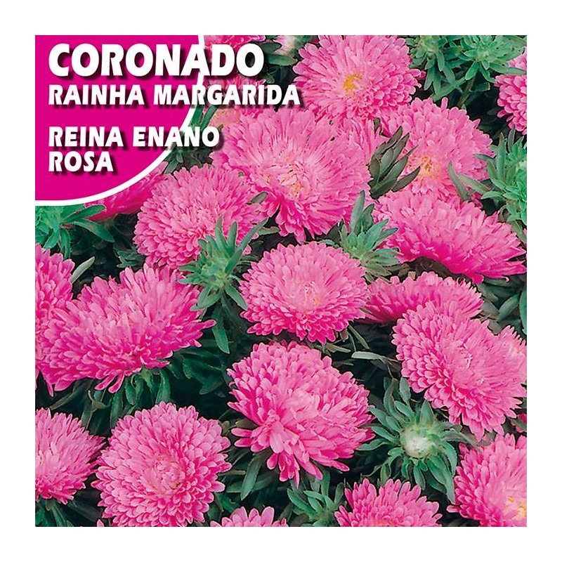 CORONADO REINA ENANO ROSA