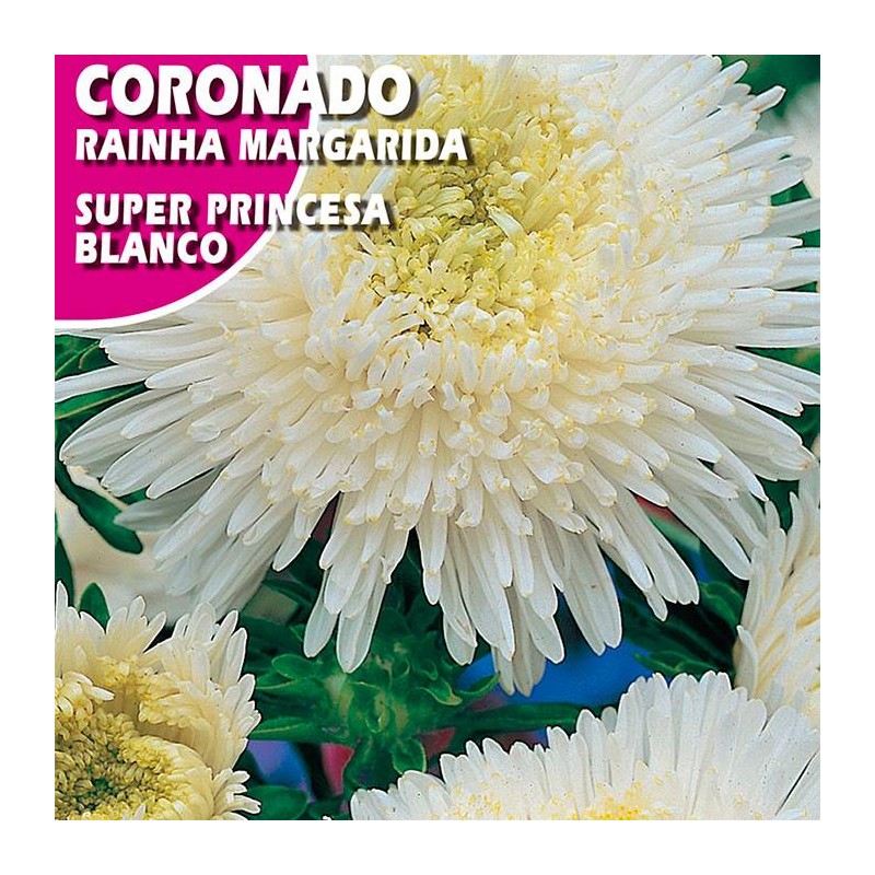 CORONADO SUPER PRINCESA BLANCO