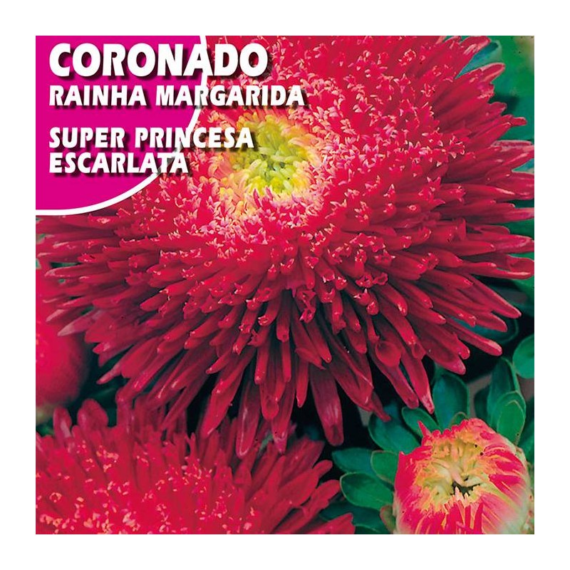 CORONADO SUPER PRINCESA ESCARLATA