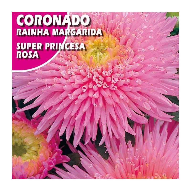 CORONADO SUPER PRINCESA ROSA