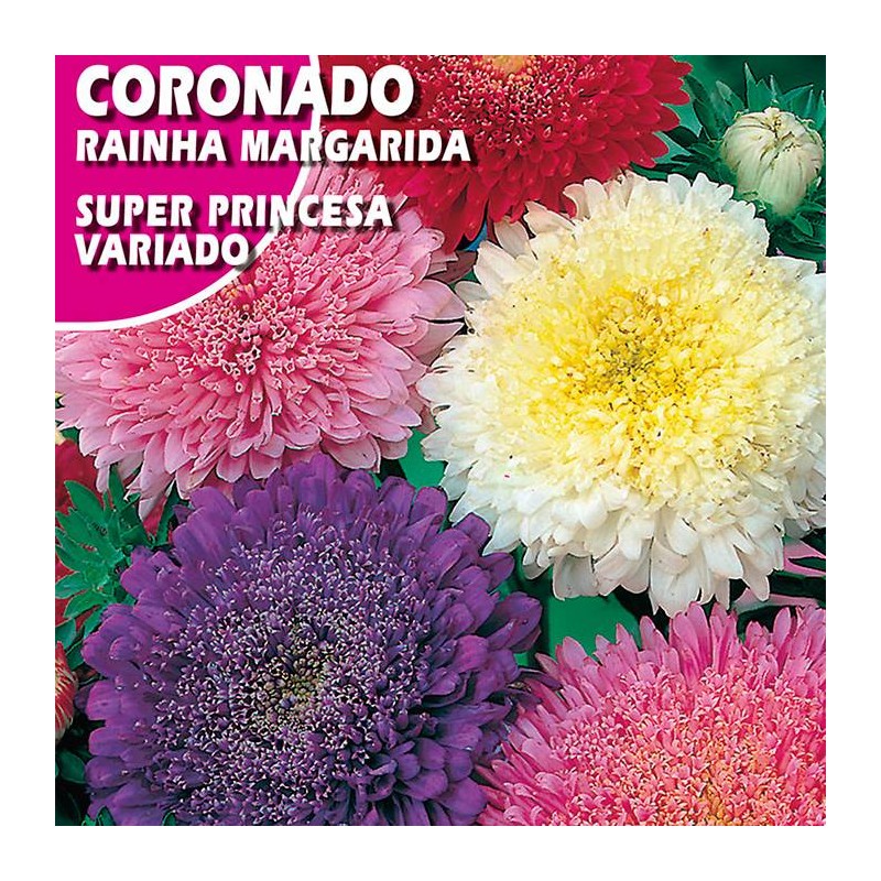 CORONADO SUPER PRINCESA VARIADO
