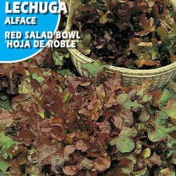 Semillas lechuga red salad bowl "hoja de roble"