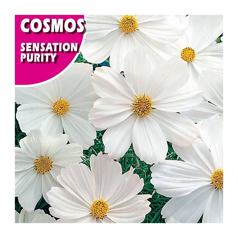COSMOS SENSATION  PURITY